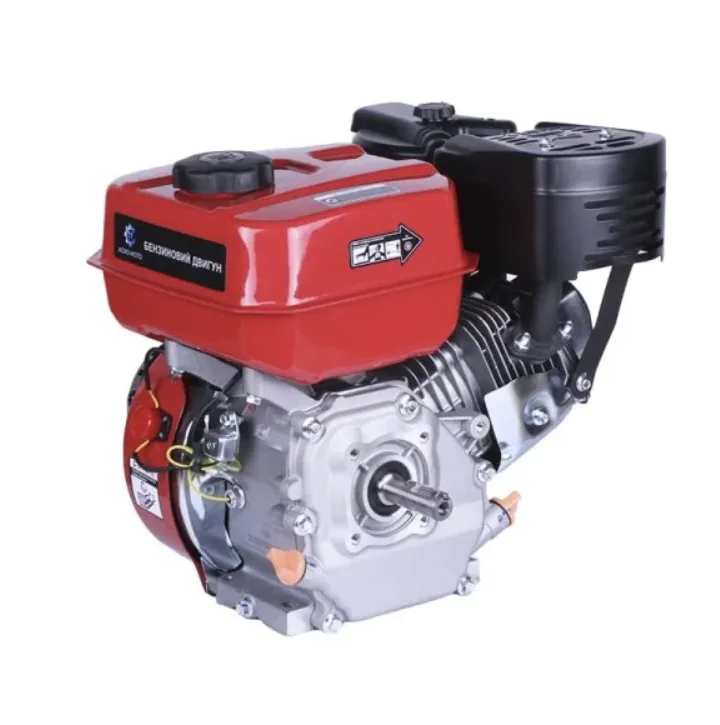 Motor pe benzină 170F 7c.p. Sponca 19 si 20mm