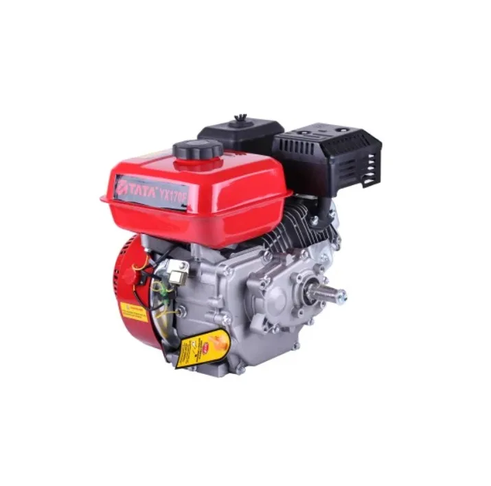 Motor pe benzină 170F 7c.p. cu reductor de 1/2