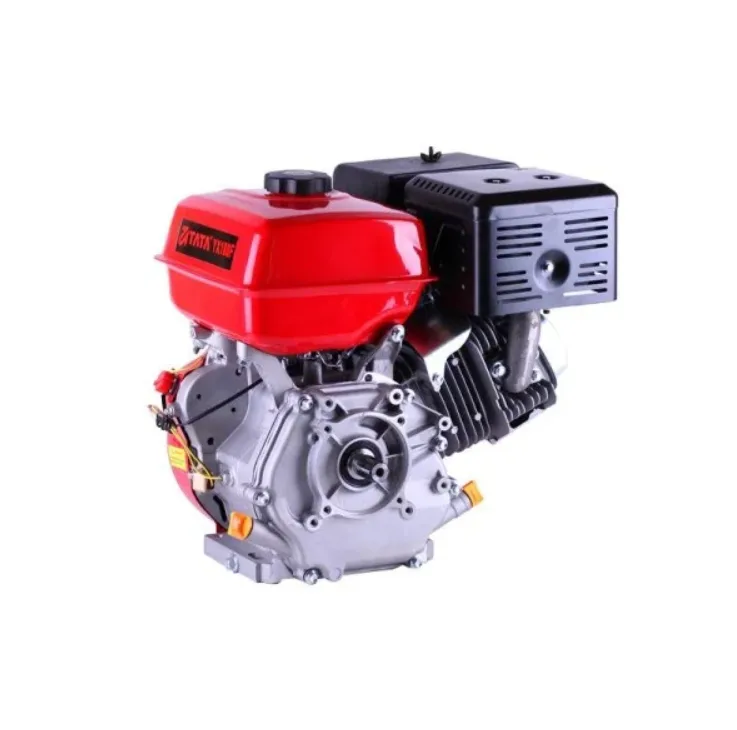 Motor pe benzină 188F 13c.p. Axul Sponca 25mm
